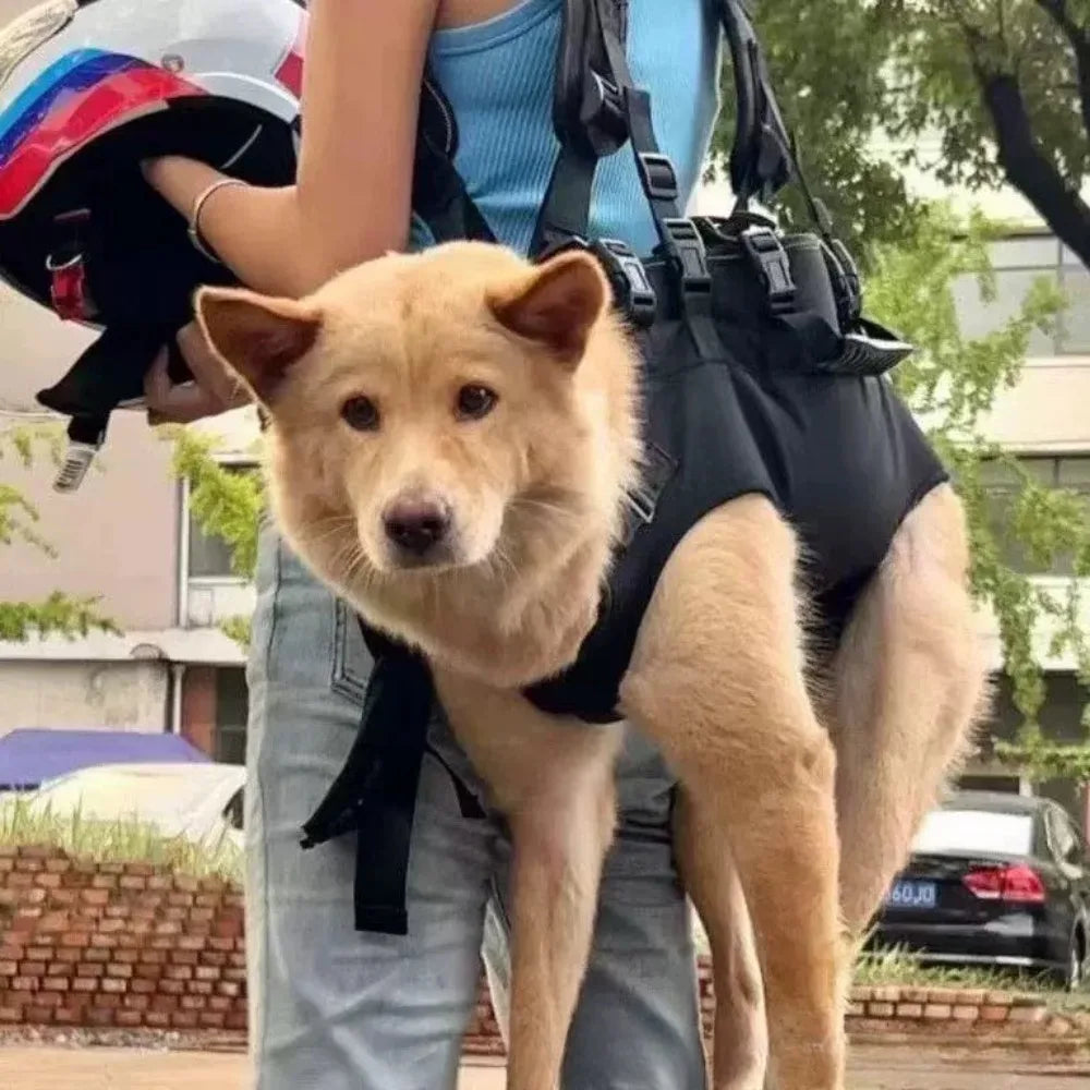 Wear-Resistant Nylon Fabric Pet Double-Shoulder Backpack