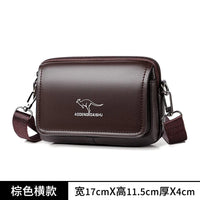 Brown 02